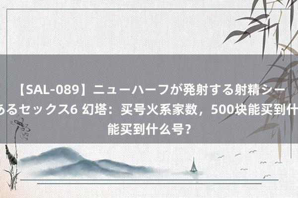 【SAL-089】ニューハーフが発射する射精シーンがあるセックス6 幻塔：买号火系家数，500块能买到什么号？