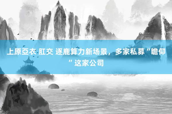 上原亞衣 肛交 逐鹿算力新场景，多家私募“瞻仰”这家公司