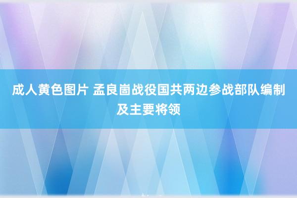 成人黄色图片 孟良崮战役国共两边参战部队编制及主要将领