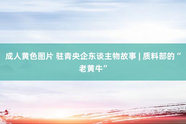 成人黄色图片 驻青央企东谈主物故事 | 质料部的“老黄牛”