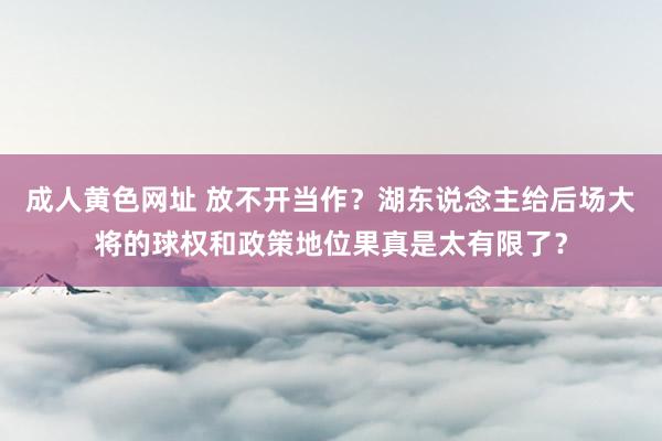 成人黄色网址 放不开当作？湖东说念主给后场大将的球权和政策地位果真是太有限了？