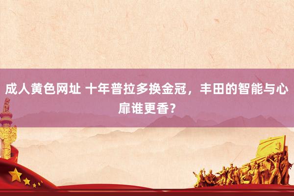 成人黄色网址 十年普拉多换金冠，丰田的智能与心扉谁更香？