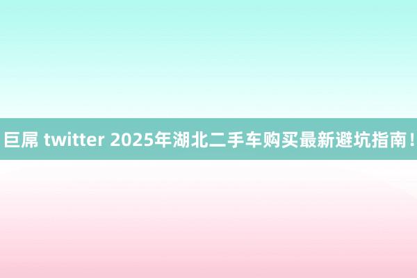 巨屌 twitter 2025年湖北二手车购买最新避坑指南！