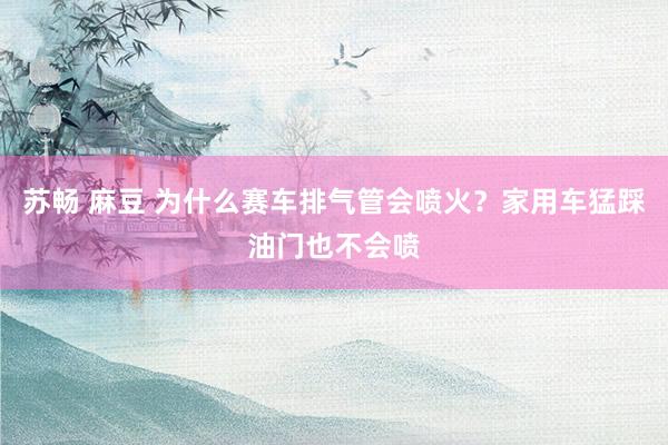 苏畅 麻豆 为什么赛车排气管会喷火？家用车猛踩油门也不会喷
