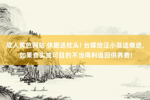 成人黄色网站 休眠送枕头! 台媒给汪小菲送痕迹， 如果查实或可目的不当得利追回供养费!