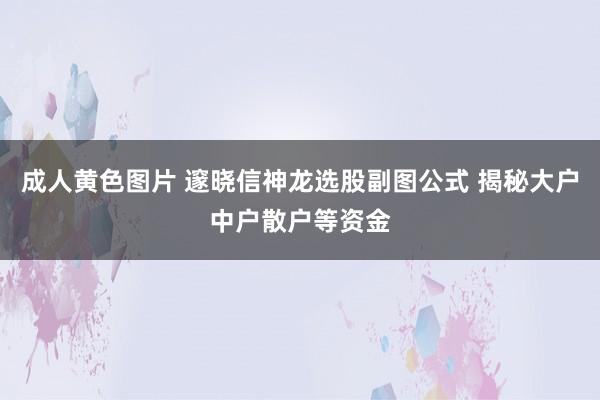 成人黄色图片 邃晓信神龙选股副图公式 揭秘大户中户散户等资金