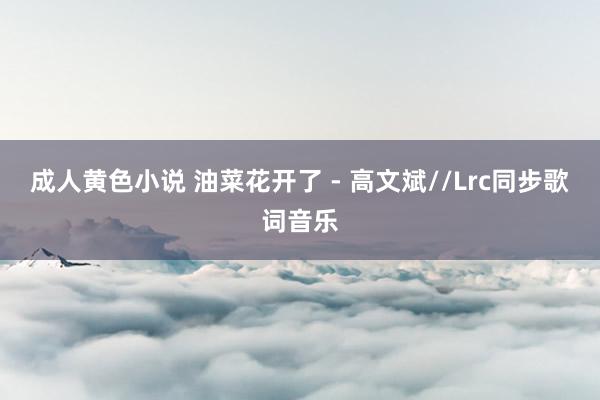 成人黄色小说 油菜花开了 - 高文斌//Lrc同步歌词音乐