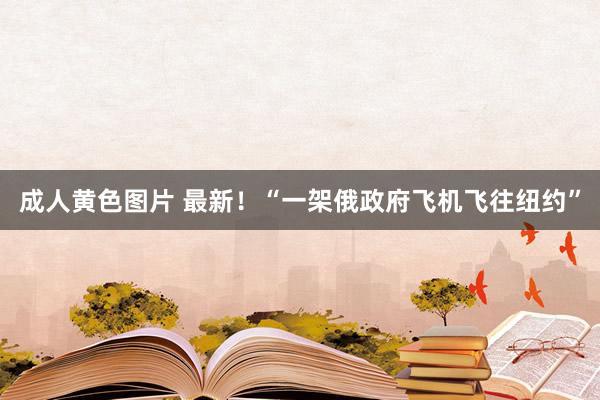 成人黄色图片 最新！“一架俄政府飞机飞往纽约”